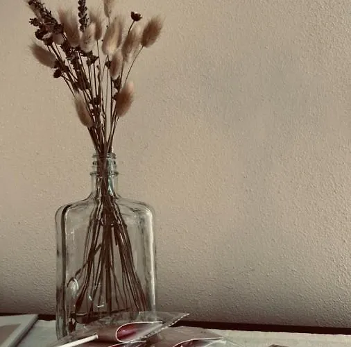 La Tra Cinque Terre E Versilia Feriehus *